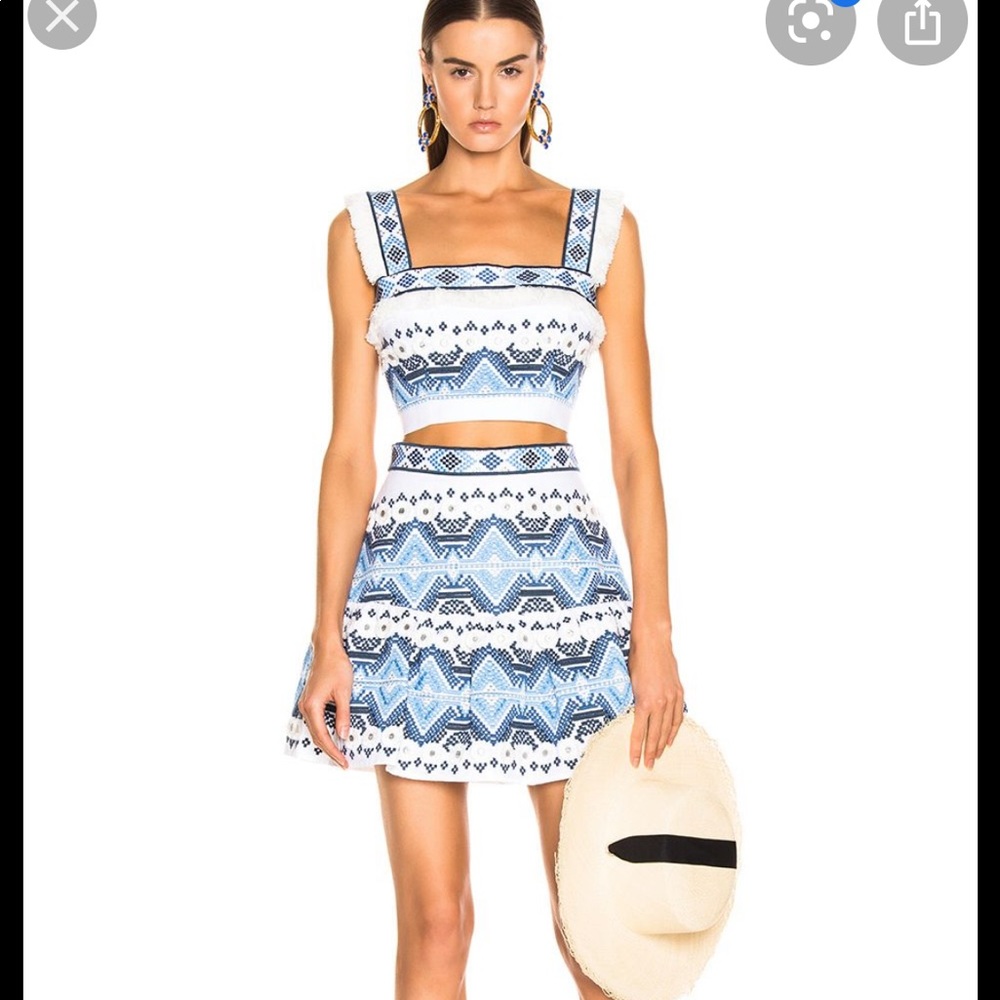 ISO Alexis Lucille Skirt and Top small or xsmall